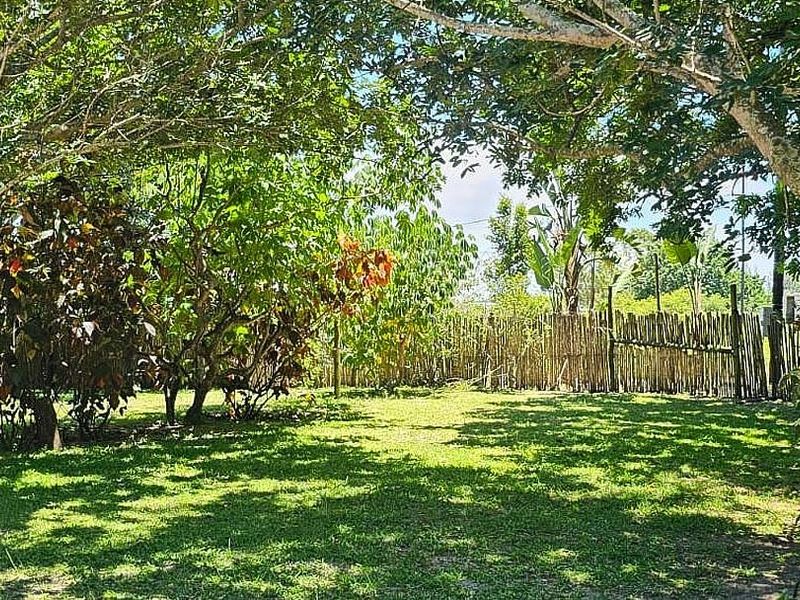 A spacious, tree-lined garden area featuring established greenery and rustic wooden pole perimeter fencing.