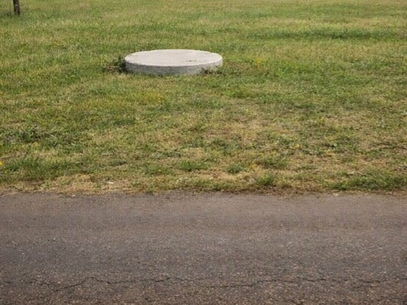 A view of a residential plot featuring a grass lawn and a concrete inspection cover near the paved road.