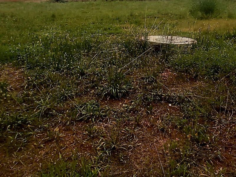 A view of the vacant residential land featuring overgrown grass and a visible manhole cover.