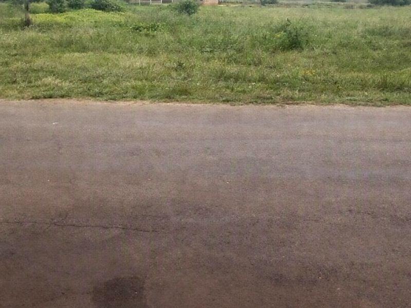 A view of the asphalt road frontage adjacent to the vacant residential land plot.