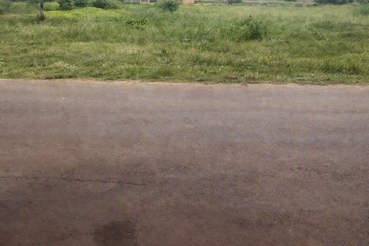 A view of the asphalt road frontage adjacent to the vacant residential land plot.