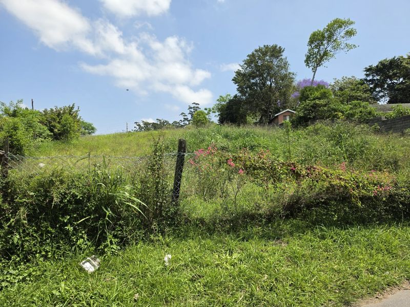A view of a vacant residential plot featuring overgrown grass, mature trees, and existing wire mesh boundary fencing.