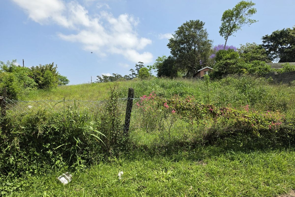 A view of a vacant residential plot featuring overgrown grass, mature trees, and existing wire mesh boundary fencing.