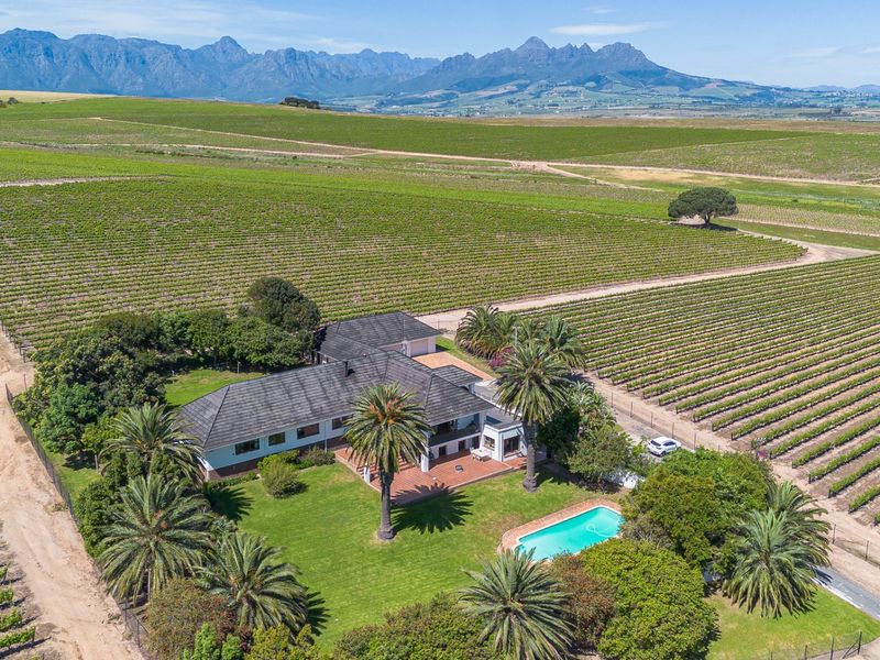 Aerial view of a farm property featuring a main residence with a swimming pool, surrounded by extensive vineyards and mountain views.