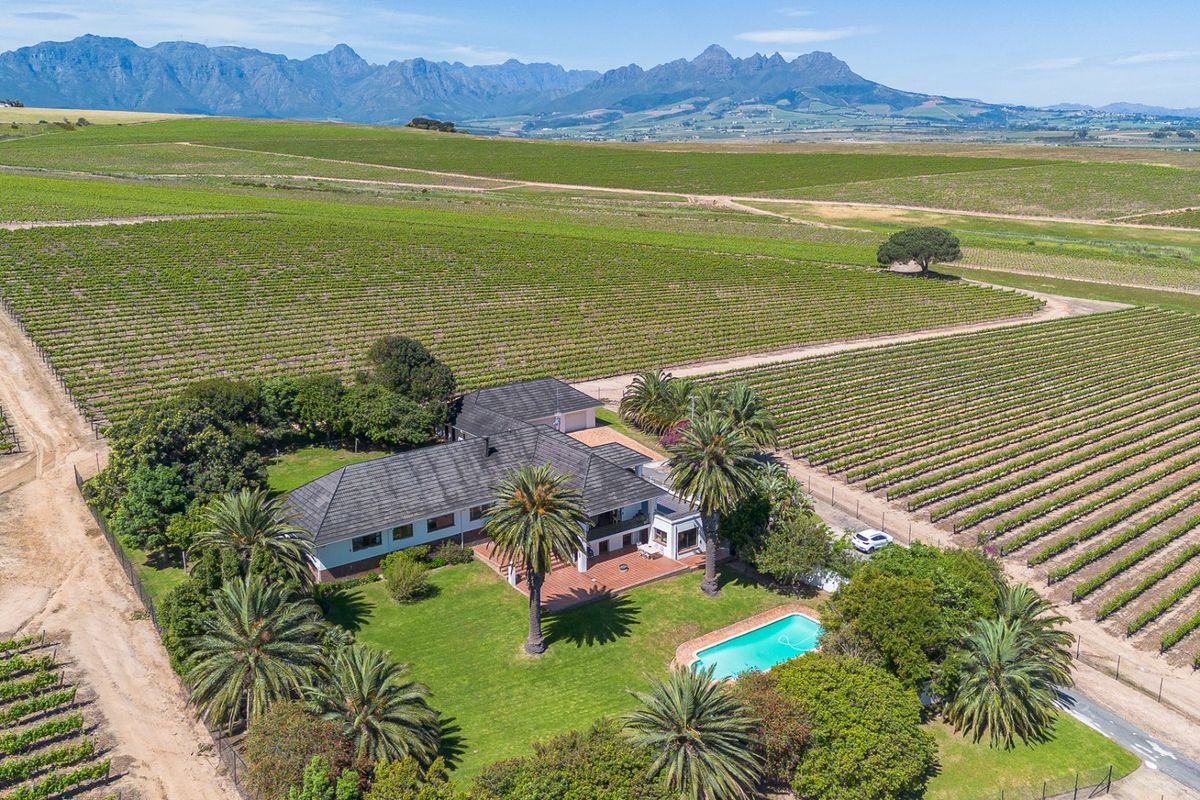 Aerial view of a farm property featuring a main residence with a swimming pool, surrounded by extensive vineyards and mountain views.