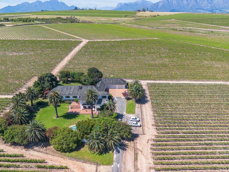 Aerial view of a farm property featuring a main residence, swimming pool, and extensive surrounding vineyards set against a mountain backdrop.