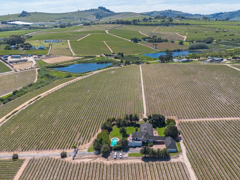 Aerial view of a sprawling farm property featuring extensive vineyards, multiple farm dams, a swimming pool, and a main residence with established gardens.