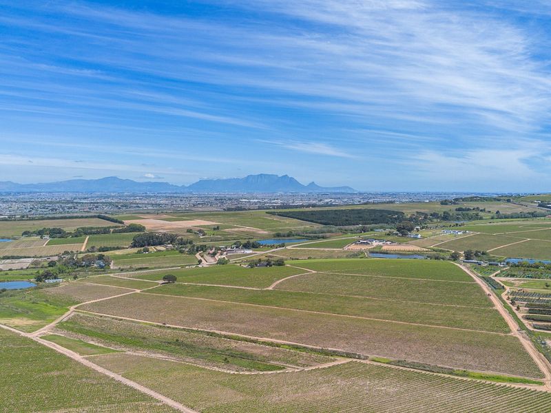 An expansive aerial view of the farm property featuring vast cultivated vineyards, irrigation dams, and surrounding rural landscape with distant mountain views.