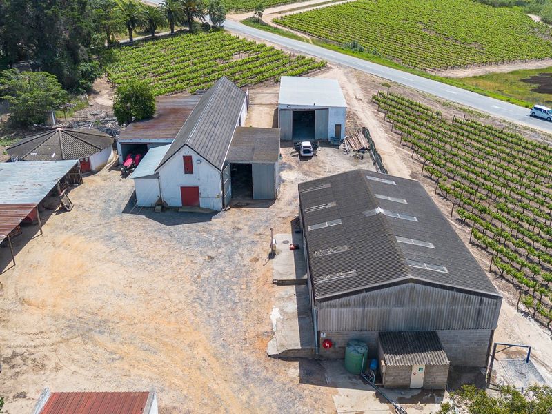 Aerial view of a farm property featuring multiple outbuildings, storage sheds, and extensive vineyard rows situated adjacent to a public road.