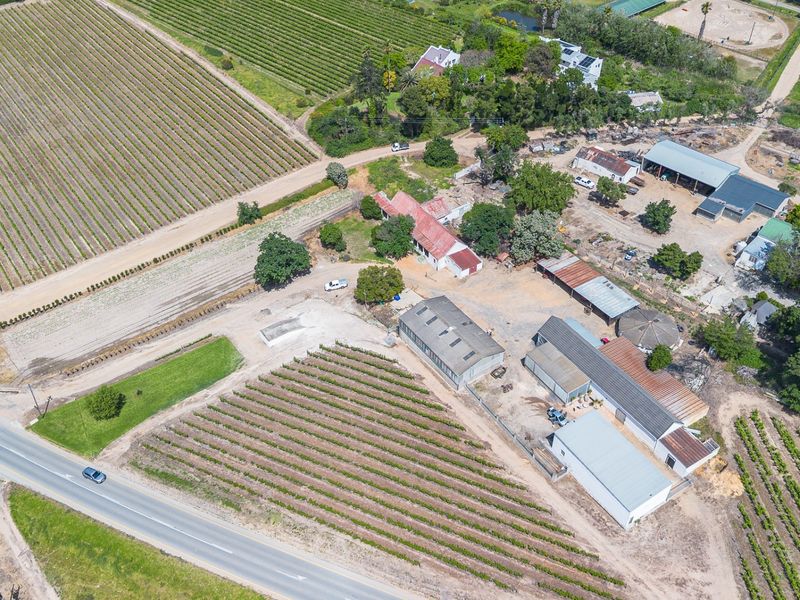 Aerial view of a farm property featuring extensive vineyards, multiple outbuildings, and access roads, showcasing the layout and scale of the agricultural land.