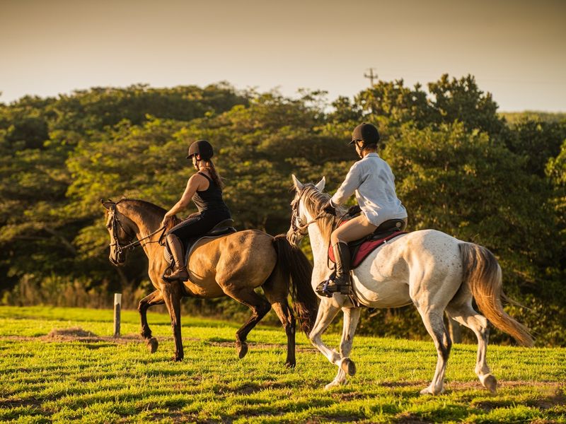 A scenic view of the property's expansive green pasture, highlighting the outdoor lifestyle and equestrian potential of this small holding.