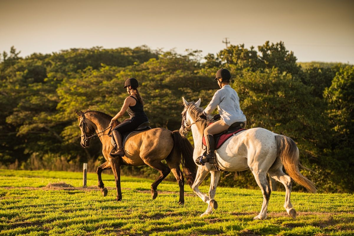 A scenic view of the property's expansive green pasture, highlighting the outdoor lifestyle and equestrian potential of this small holding.