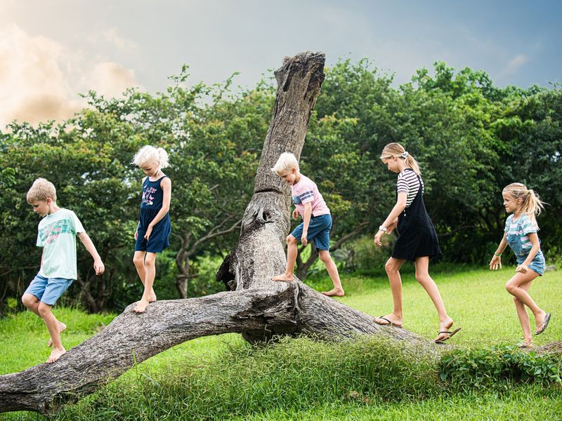 A lush, green garden area featuring mature trees and a well-maintained lawn, providing a natural outdoor space.
