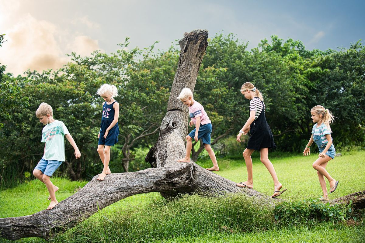 A lush, green garden area featuring mature trees and a well-maintained lawn, providing a natural outdoor space.