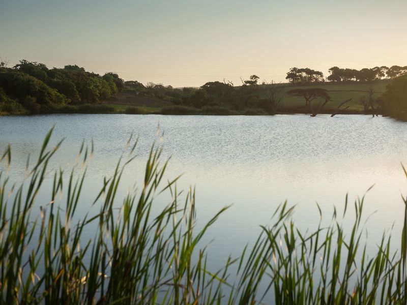 A serene view of a natural dam on the small holding, surrounded by lush greenery and rolling landscape at sunset.