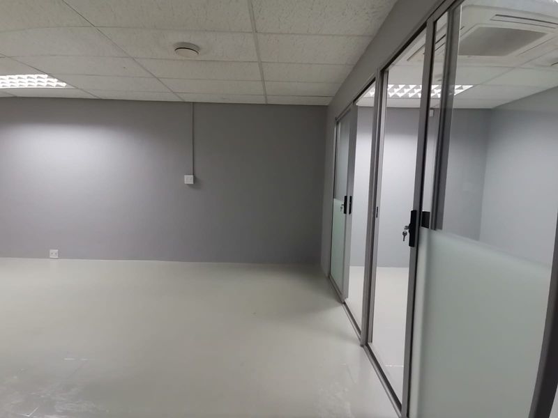 A clean, modern empty office space featuring neutral grey walls, suspended ceiling tiles, and glass partition walls with aluminum frames.