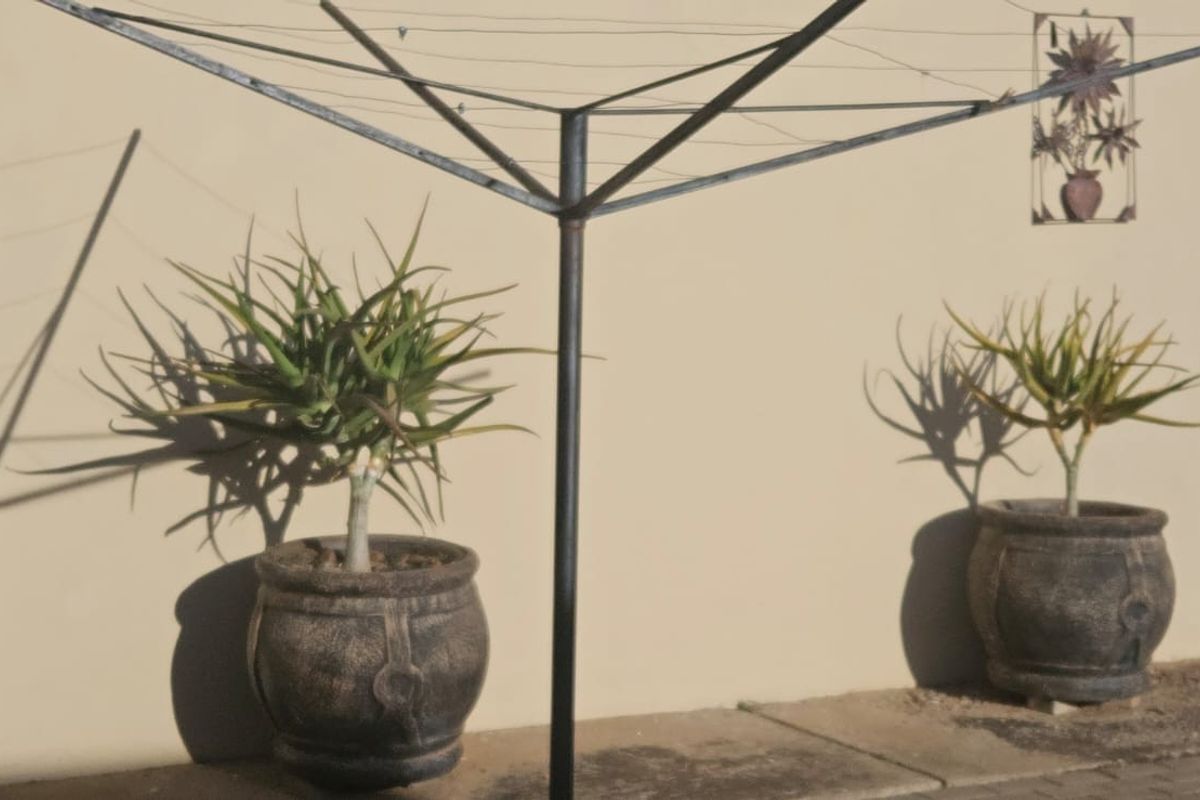 A rear exterior area featuring a paved patio surface and a fixed rotary clothesline against a plain wall.