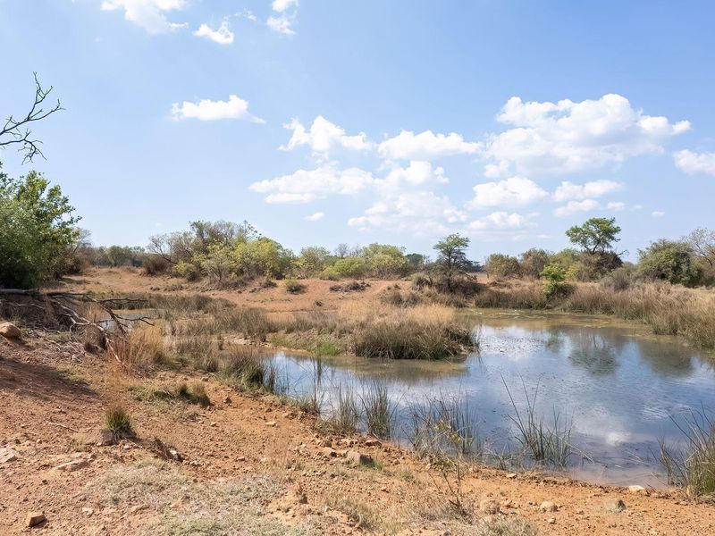 A scenic view of a natural farm dam surrounded by indigenous bushveld and open landscape.