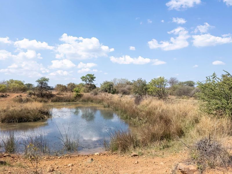 A scenic view of a natural farm pond surrounded by indigenous bushveld and open landscape under a clear blue sky.
