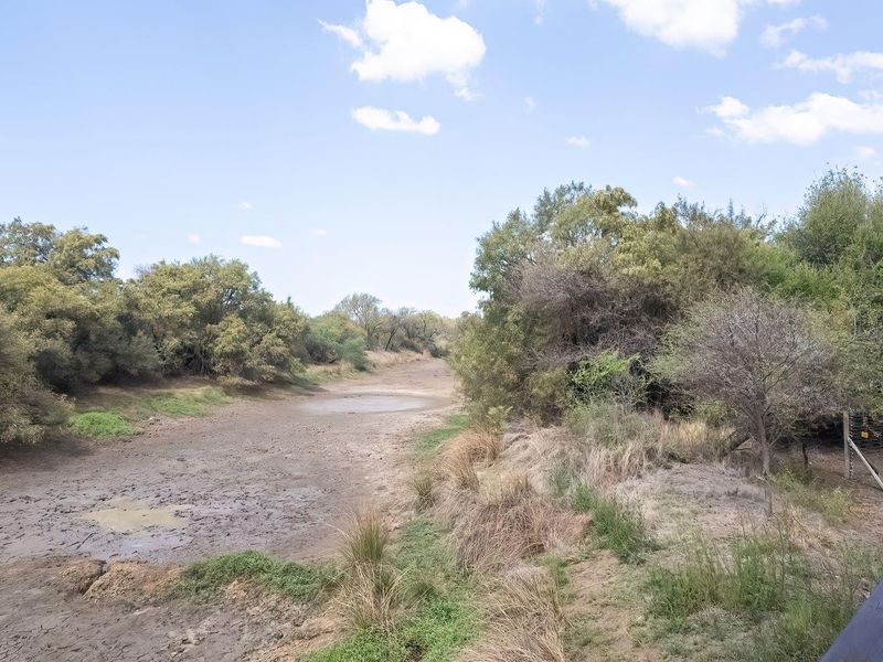 A scenic view overlooking a dry riverbed and natural bushveld landscape, typical of a rural farm setting.
