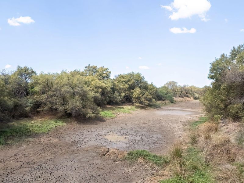 A scenic view of a dry riverbed surrounded by native trees and natural vegetation on the farm property.