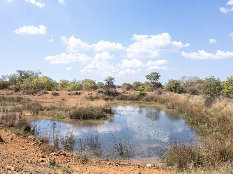 A scenic view of a natural pond surrounded by indigenous bushveld and open landscape on the farm property.