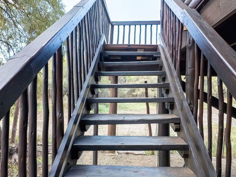 An outdoor timber staircase leading to a raised deck area, featuring rustic wooden railings and structural supports in a natural farm setting.