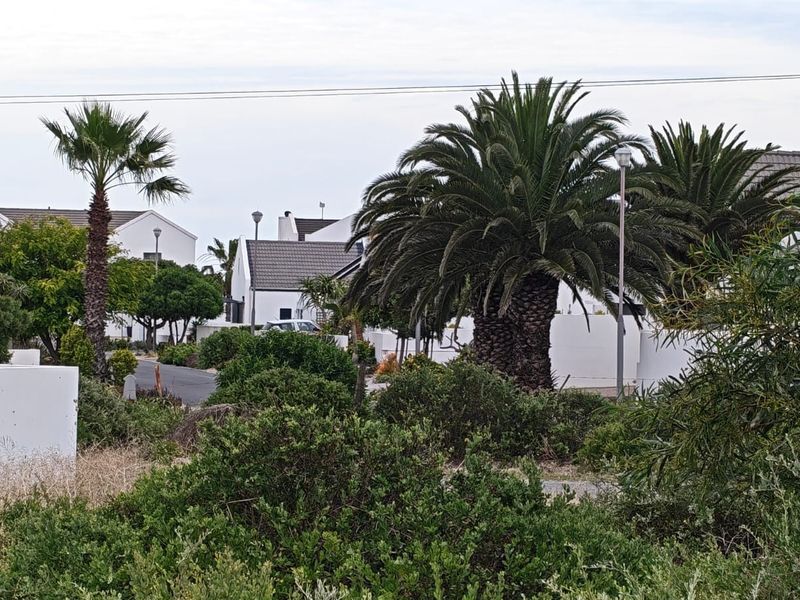 A view of the residential street frontage featuring established palm trees and landscaped greenery in a well-maintained neighborhood setting.