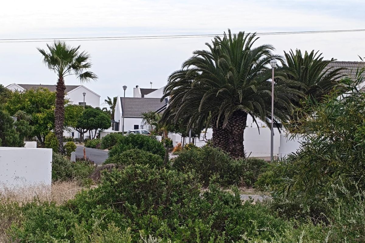 A view of the residential street frontage featuring established palm trees and landscaped greenery in a well-maintained neighborhood setting.