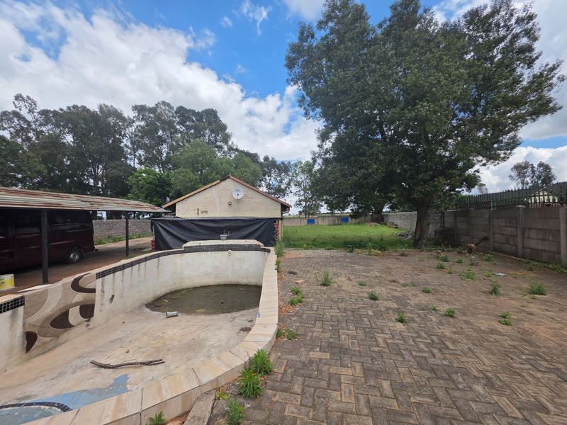 Outdoor area featuring an empty swimming pool, paved patio space, and a detached carport structure in a large backyard setting.