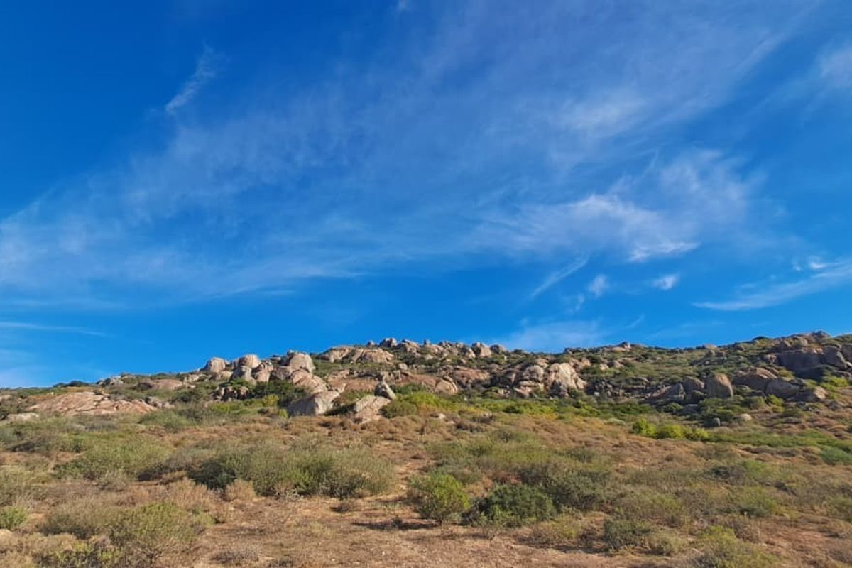 A scenic view of the natural landscape featuring rocky outcrops and native vegetation under a clear blue sky.