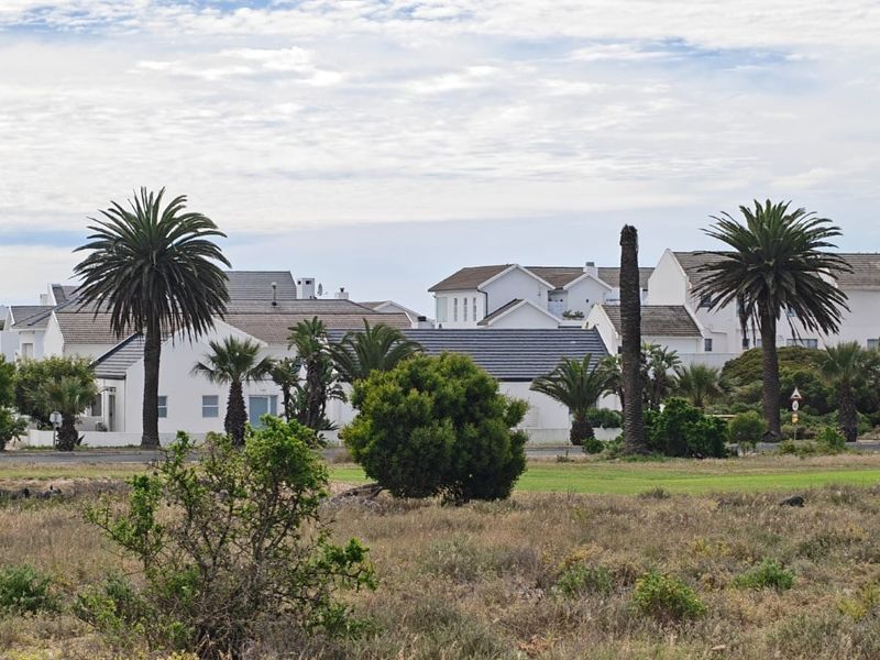 A scenic view of a residential neighborhood featuring established palm trees and white architectural housing structures set against a natural landscape.
