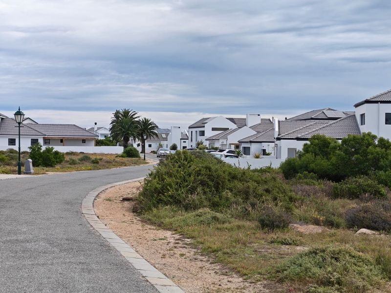 A view of a paved residential street within a modern housing estate, featuring well-maintained homes and landscaped surroundings.
