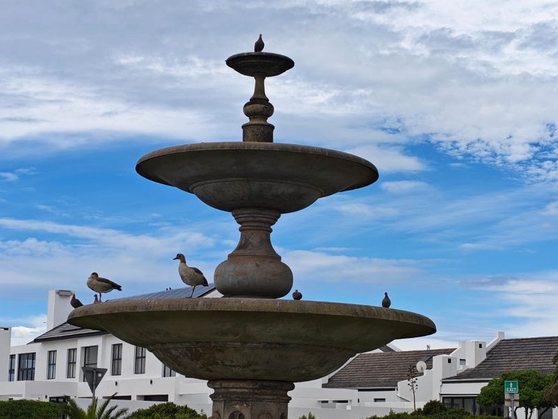 A tiered stone fountain feature situated in a residential garden setting with surrounding landscaping and nearby residential architecture.
