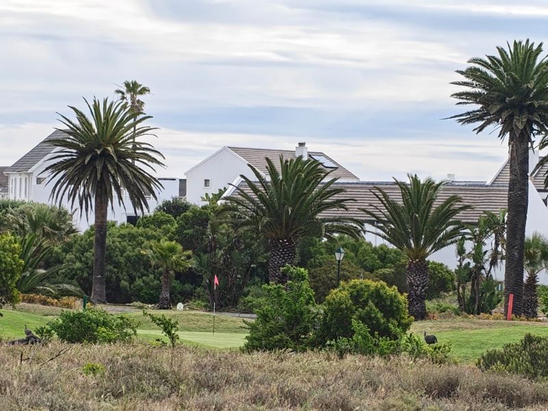 A scenic view overlooking a well-maintained golf course with mature palm trees and lush landscaping, set against a backdrop of residential architecture.