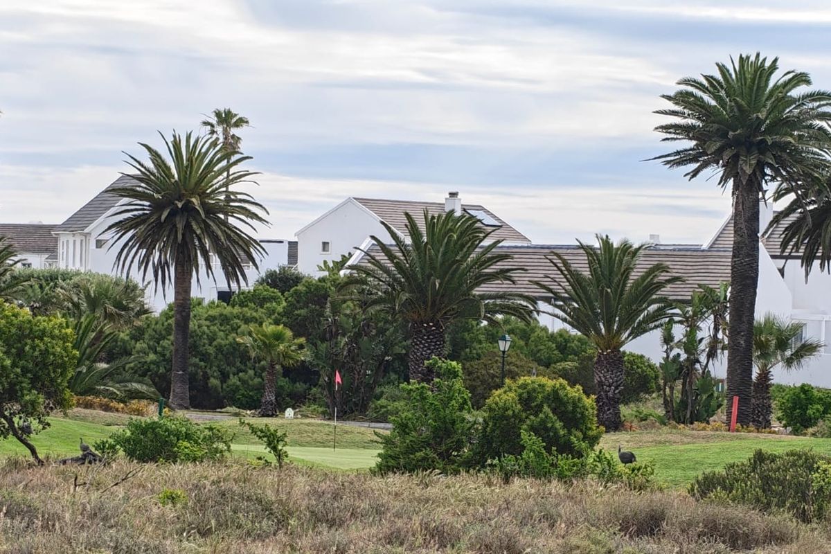 A scenic view overlooking a well-maintained golf course with mature palm trees and lush landscaping, set against a backdrop of residential architecture.