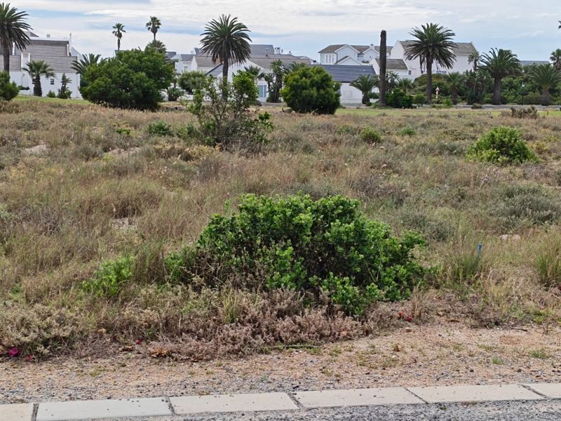 A vacant residential plot featuring natural vegetation, situated in a developed neighborhood with established homes in the background.