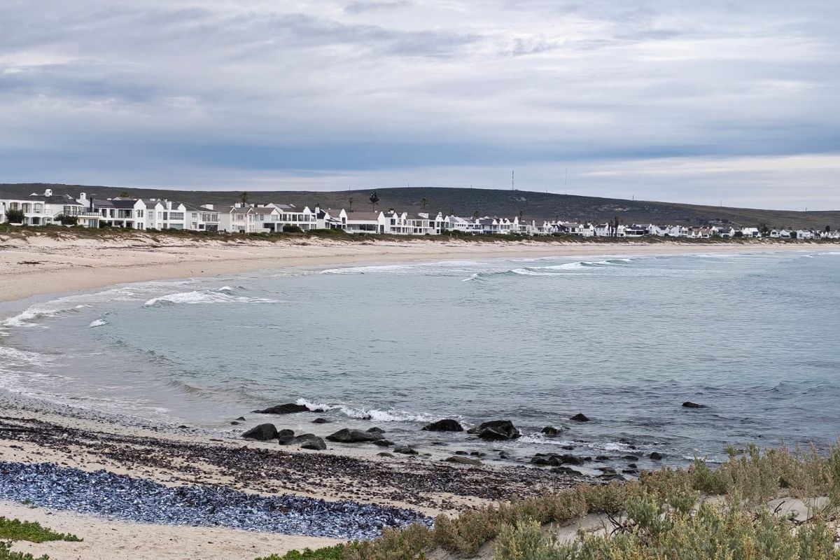A scenic coastal view overlooking the beach and ocean, showcasing the surrounding residential neighborhood and natural landscape.