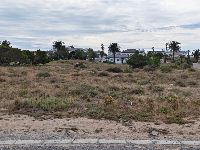 A view of a vacant residential plot featuring native vegetation and surrounding neighborhood homes.