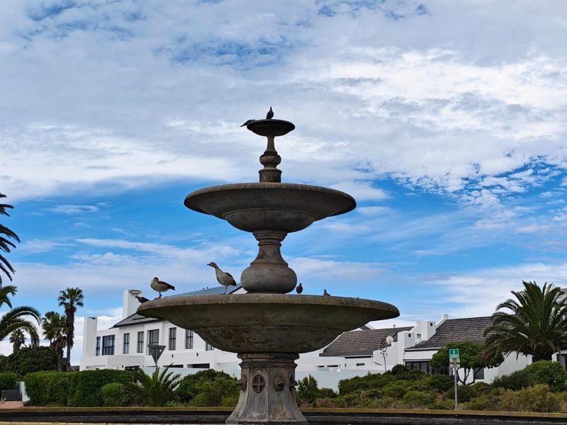 A decorative stone fountain centerpiece situated within a landscaped garden area, featuring tiered basins and surrounding greenery.
