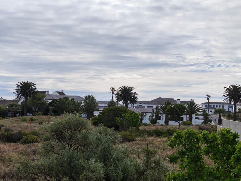 A view of the surrounding residential neighborhood and landscape from the vacant land plot.