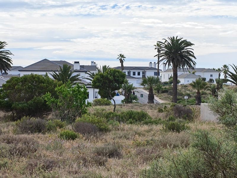 A scenic view of the surrounding residential estate landscape featuring established palm trees and native vegetation.
