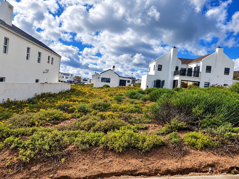 A vacant residential plot featuring native vegetation, situated in a developed neighborhood with surrounding modern white homes.