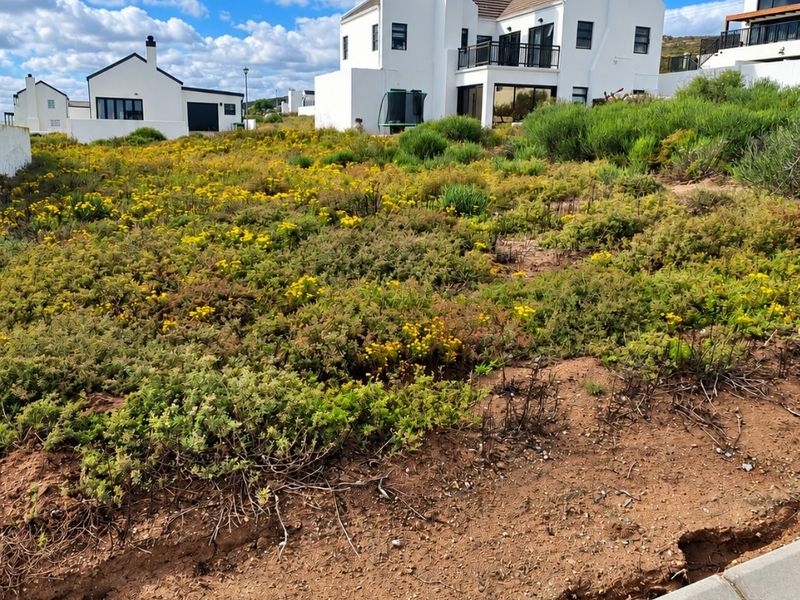A vacant residential plot featuring natural vegetation, bordering a paved road with a concrete kerb, situated in a developed residential estate.