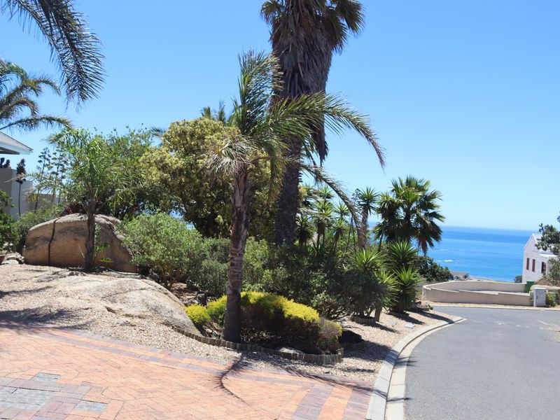 A view of the residential street approach featuring a paved driveway, established garden with mature palm trees, and distant ocean views.