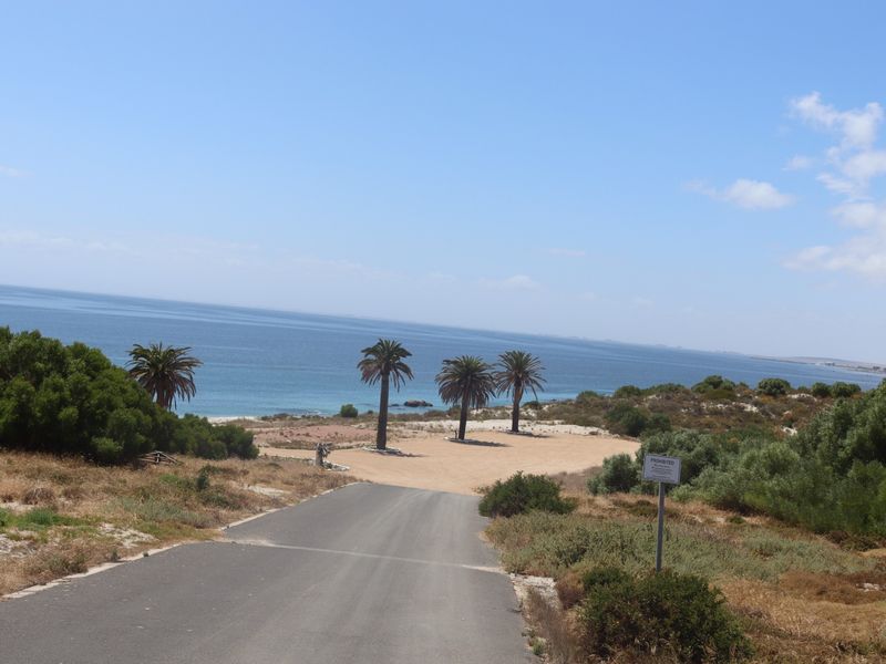 A scenic view of the coastline featuring a paved access road leading towards the beach with established palm trees and natural vegetation.