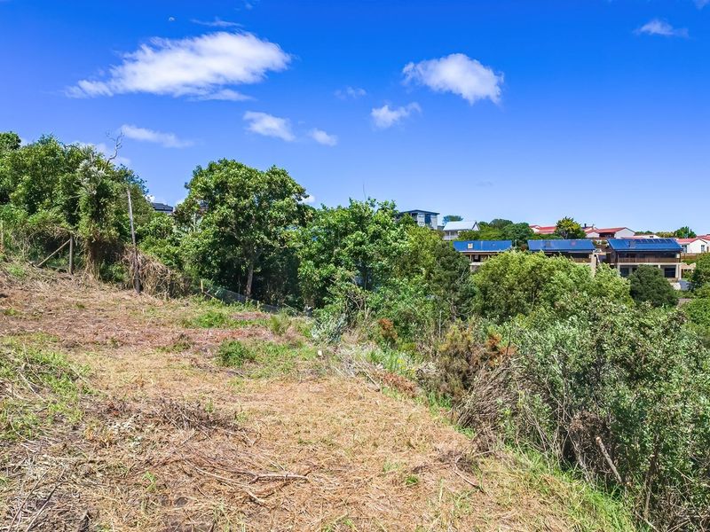 A view of the sloped residential land parcel featuring established trees and surrounding neighborhood landscape.