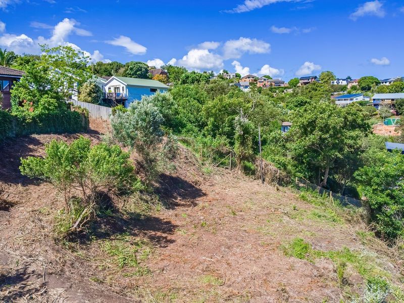 An elevated aerial view of a sloped, partially cleared residential vacant land plot surrounded by established trees and neighboring properties.