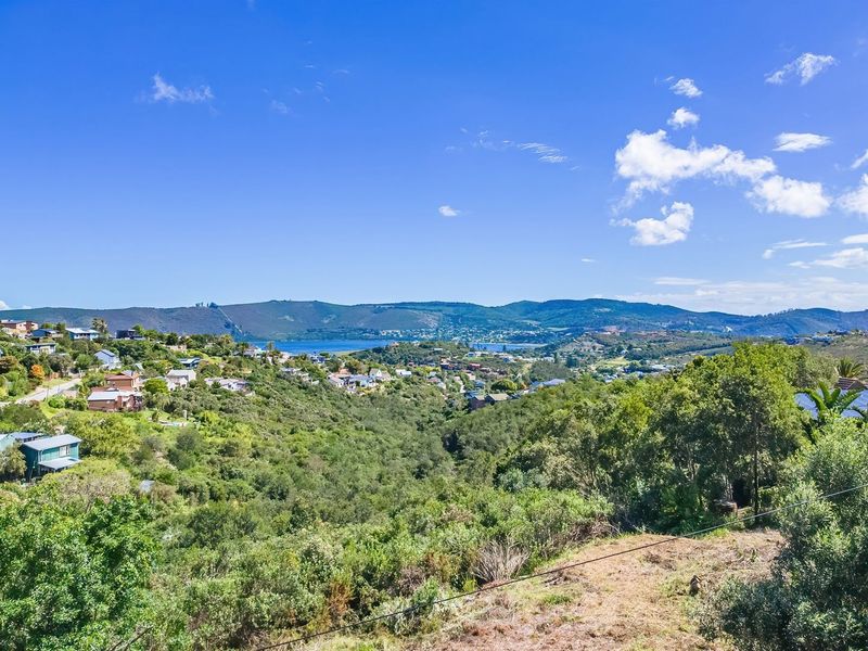 A scenic elevated view overlooking the surrounding residential landscape, lush greenery, and distant hills under a clear blue sky.