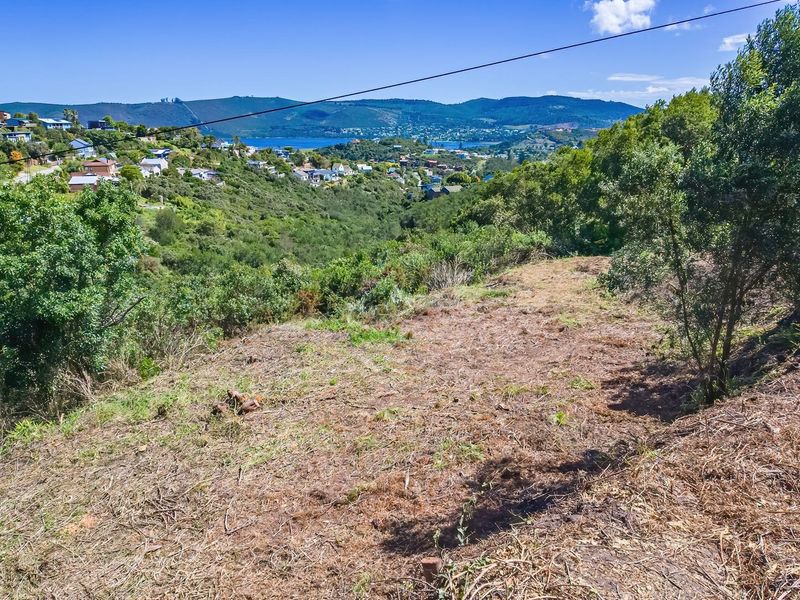 Elevated view of the residential land plot featuring natural vegetation and a scenic outlook over the surrounding valley and distant water.